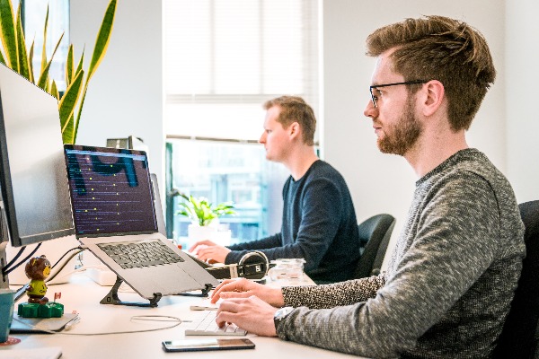 people working on their computers